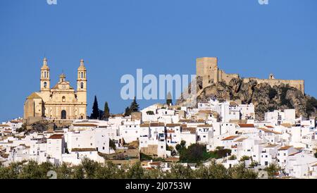 Le village blanc Olvera avec château et église Nuestra Señora de la Encarnacion, Olvera, pueblo blanco, province de Cadix, Andalousie, Espagne Banque D'Images