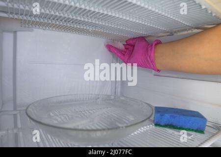 Dégivrage et nettoyage du congélateur. Une femme en gants de latex essuie l'eau de fonte avec une éponge. Faible profondeur de champ. Banque D'Images