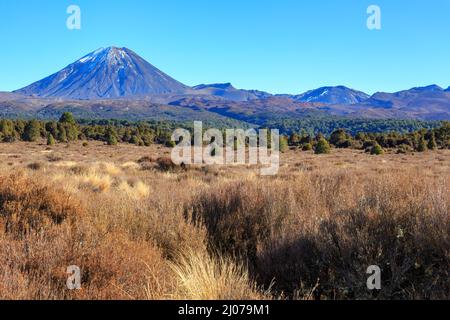 Mont Ngauruhoe (à gauche) et Tongariro dans le parc national de Tongariro, en Nouvelle-Zélande Banque D'Images