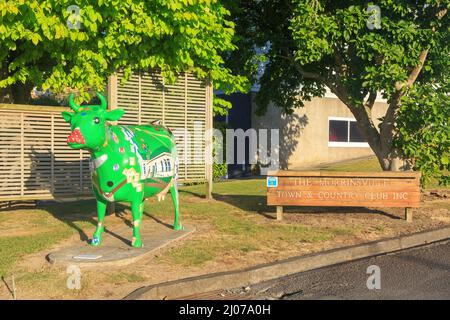 Morrinsville, Nouvelle-Zélande. Une sculpture de vache grandeur nature nommée 'sociabelle' qui se trouve à l'extérieur du Morrinsville Town and Country Club Banque D'Images