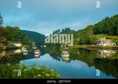 Lerryn, Cornwall, vue sur la rivière tôt le matin Banque D'Images