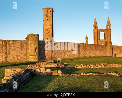 Cathédrale St Andrews des ruines de l'église St Mary on the Rock au lever du soleil St Andrews Fife Ecosse Banque D'Images