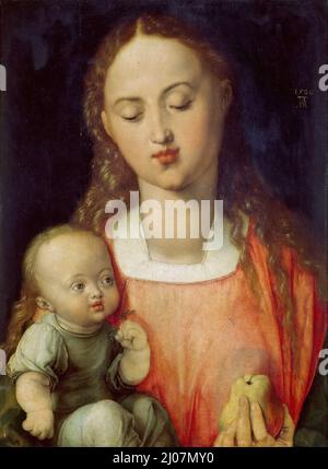 Madonna et l'enfant avec un Pear. Musée: Gallerie degli Uffizi, Florence. Auteur: Albrecht Dürer. Banque D'Images