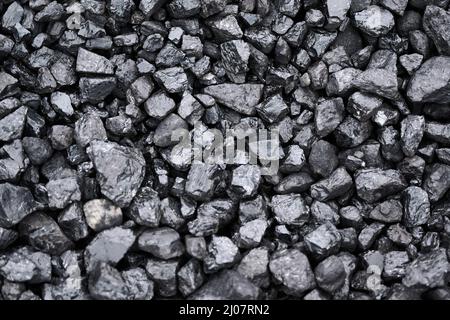 17 mars 2022, Rhénanie-du-Nord-Westphalie, Duisbourg : le charbon dur est stocké dans la centrale électrique de Steag à Duisburg-Walsum. Photo: Bernd Thissen/dpa Banque D'Images