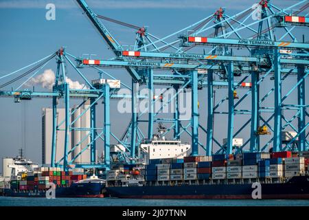 Le port maritime de Rotterdam, pays-Bas, Maasvlakte 2 Deep Sea port, sur une zone de terre artificielle au large de la côte originale, APM Container terminal, container SH Banque D'Images