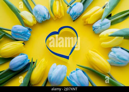 Vue de dessus du ruban bleu et jaune en forme de coeur près des tulipes en arrière-plan Banque D'Images