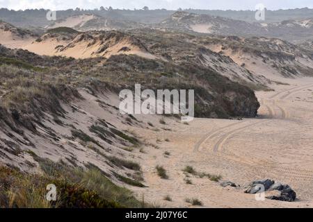 Dunes de sable herbacées, sud-ouest de l'Alentejo et parc naturel de la côte de Vicomté dans le sud-ouest du Portugal. Banque D'Images