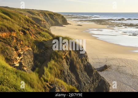 Plage Praia do Brejo Largo avec dunes de sable herbacées, sud-ouest de l'Alentejo et parc naturel de la côte de Viclentine dans le sud-ouest du Portugal. Banque D'Images