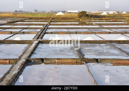 Salinas de Aveiro (salines) production de sel de mer à Aveiro Portugal. Banque D'Images