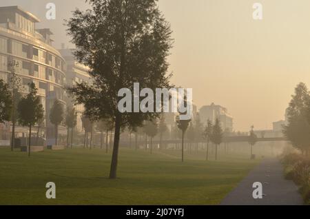 Eurovea - complexe commercial et résidentiel moderne et parc dans le brouillard du matin, Bratislava Slovaquie. Banque D'Images