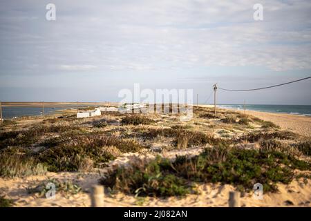 Paysage calme de dunes et plage de Faro, Algarve, Portugal Banque D'Images