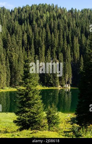 Pré alpin Uskovnica et ses environs dans les Alpes juliennes au-dessus du lac Bohinj Banque D'Images