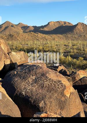 Pétroglyphes anciens sur signal Hill à Tucson Banque D'Images