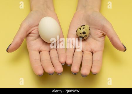 femme tenant des œufs d'oiseau dans ses mains. Photo de haute qualité Banque D'Images