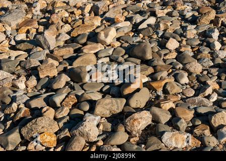 groupe de pierres sur la rive d'un réservoir, calcaire, granit, ardoise. Conséquence de la sécheresse Banque D'Images