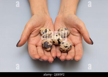 l'oeuf de caille se trouve dans les paumes d'une femme. Photo de haute qualité Banque D'Images