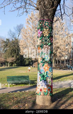 Des bouillies de fleurs colorées couvrant le tronc d'un arbre dans un parc public. Banque D'Images