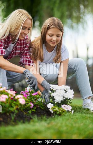 Jolie femme caucasienne et adolescente plantant des fleurs ensemble dans le jardin d'été. Bonne mère et fille en gants faisant belle parterre de fleurs sur cour arrière. Banque D'Images