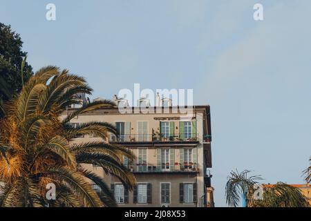 Vue à angle bas d'un immeuble résidentiel à Nice, France, palmier en face. Banque D'Images