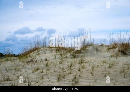 Herbe poussant sur des dunes de sable avec des nuages pastel dans le ciel au-delà. Espace négatif pour la copie. Banque D'Images