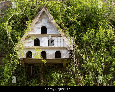 Vieux pigeonnier en bois sur le mur. Banque D'Images