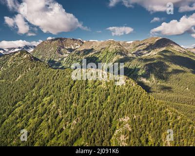 Vue aérienne d'une vaste gamme dans les montagnes surcultivées avec une forêt dense. Chasse et parc national Banque D'Images