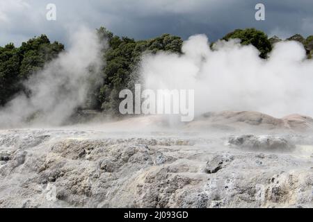 Geyser de Pohutu dans la vallée thermale de Whakarewarewa, Rotorua, Nouvelle-Zélande Banque D'Images