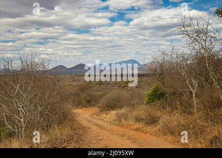 Paysage dans le parc national de l'Ouest de Tsavo avec une vue lointaine sur les coulées de lave de Shetani. Banque D'Images