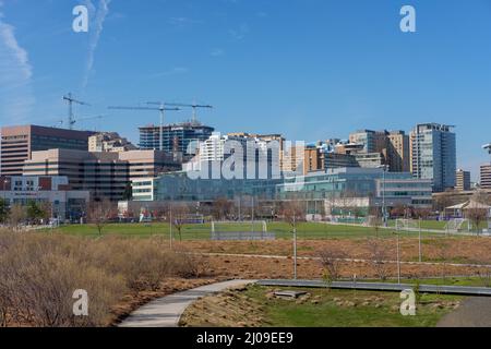 Crystal City Skyline, Arlington, va, États-Unis Banque D'Images