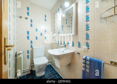 Salle de bains avec évier suspendu en porcelaine blanche, miroir encadré en bois blanc et carreaux de galets fleuris bleus Banque D'Images