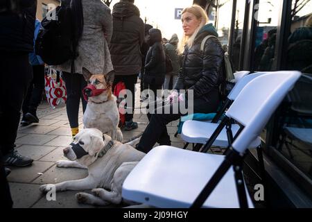 Stockholm, Suède. 17th mars 2022. Les réfugiés ukrainiens visitent le bureau de l'Agence suédoise des migrations pour demander un permis de séjour et aider à se rendre quelque part pour vivre. Plusieurs organismes de bienfaisance offrant de la nourriture, des vêtements et des articles d'hygiène sont sur place. (Credit image: © Joel Lindhe/ZUMA Press Wire) Credit: ZUMA Press, Inc./Alamy Live News Banque D'Images