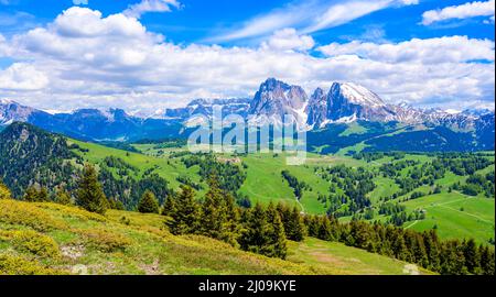 Seiser Alm ou Alpe di Siusi - magnifique paysage de montagne dans les Alpes Dolomites - Trentin-Haut-Adige, Tyrol du Sud, Italie - destination de voyage en Europe Banque D'Images
