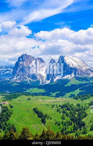 Seiser Alm ou Alpe di Siusi - magnifique paysage de montagne dans les Alpes Dolomites - Trentin-Haut-Adige, Tyrol du Sud, Italie - destination de voyage en Europe Banque D'Images