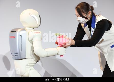 Tokyo, Japon. 17th mars 2022. Le robot humanoïde du géant automobile japonais Honda Motor ASIMO reçoit un bouquet de fleurs alors qu'il finissait le Musée national des sciences émergentes et de l'innovation (Mirakan) après avoir travaillé comme personnel, communicateur scientifique pendant 20 ans au Mirakan à Tokyo le jeudi 17 mars 2022. Il a accueilli de nombreux VIP, dont le président américain Barack Obama au Mirakan, pour montrer sa performance. Credit: Yoshio Tsunoda/AFLO/Alay Live News Banque D'Images
