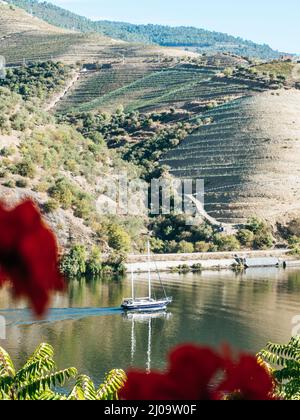 Voilier sur le fleuve Douro dans la région viticole du Portugal Banque D'Images