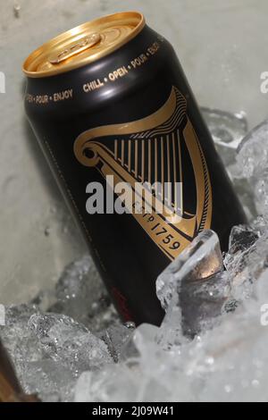 Vue générale sur une pinte de Guinness et des canettes de Guinness dans un hôtel à Sussex, Royaume-Uni. Banque D'Images