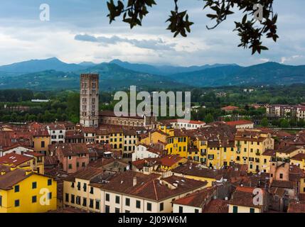 Vue sur Lucques dominé par la tour de la basilique de San Frediano, province de Lucques, région Toscane, Italie Banque D'Images