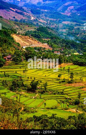 Terres agricoles dans les Highlands du centre cultivant du riz dans la vallée avec terrasses. Banque D'Images