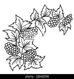 Symbole ukrainien. Branche de Viburnum. Plante branche, petits pains, baies et feuilles. Illustration vectorielle. Dessin à la main dans le style de la ligne de caniche. Pour la conception et Illustration de Vecteur