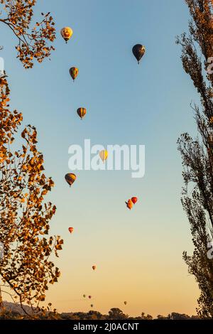 Canberra, Australie. 18th mars 2022. Des ballons à air chaud sont vus dans le ciel lors du festival annuel Canberra Balloon Spectacular à Canberra, en Australie, le 18 mars 2022. Le festival annuel Canberra Balloon Spectacular, un festival de montgolfières célébré dans la capitale australienne, a lieu cette année du 12 au 20 mars. Credit: Chu Chen/Xinhua/Alay Live News Banque D'Images