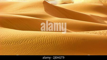 Dunes de sable ondulées dans le désert du Sahara Banque D'Images