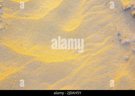 Lumière de crépuscule sur les ondulations de sable Banque D'Images