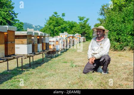 Apiculteur sur l'apiaire. L'apiculteur tire le châssis de la ruche Banque D'Images