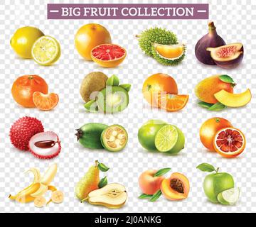 Ensemble réaliste de différents types de fruits avec kiwi orange poire citron lime pomme isolée sur fond transparent illustration vectorielle Illustration de Vecteur