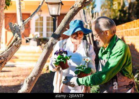 couple de personnes âgées heureux, s'occuper et travailler ensemble dans le jardin Banque D'Images