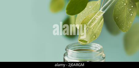 Macro-shot de belle feuille et pipette, chute de médicament tomber dans le pot. Cosmétiques naturels, biologiques et biologiques à base d'herbes et de plantes pour la peau et la santé Banque D'Images