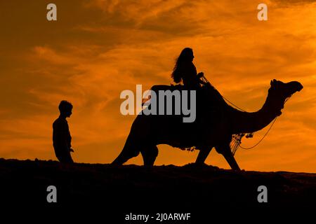 Tourisme indien pendant Camel Safari dans le désert de Pushkar, Rajasthan, Inde le 17 septembre 2021 . Photo par ABACAPRESS.COM Banque D'Images