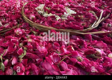 Un dévot musulman se trouve à côté d'un stand vendant des pétales de fleurs au sanctuaire de Soufi saint Khwaja Moinuddin Chishti à Ajmer, Rajasthan, Inde, le 14 août 2021. Photo par ABACAPRESS.COM Banque D'Images