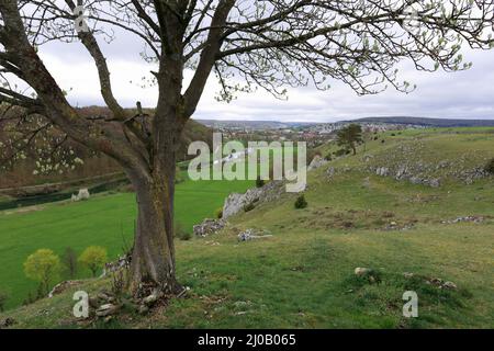 Vallée du Brenz, Eselsburg, Jura souabe, Allemagne Banque D'Images