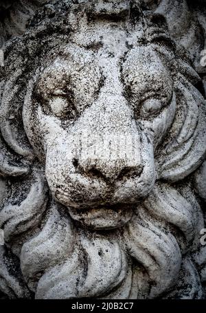 Lion En Pierre Solide - Statue De Jardin, Gardien Mural - Taille 20 Cm Hauteur, 43 Cm Longueur, Poids 17 Kg - Résistant Au Gel, Finition Grise Vieillie - 10